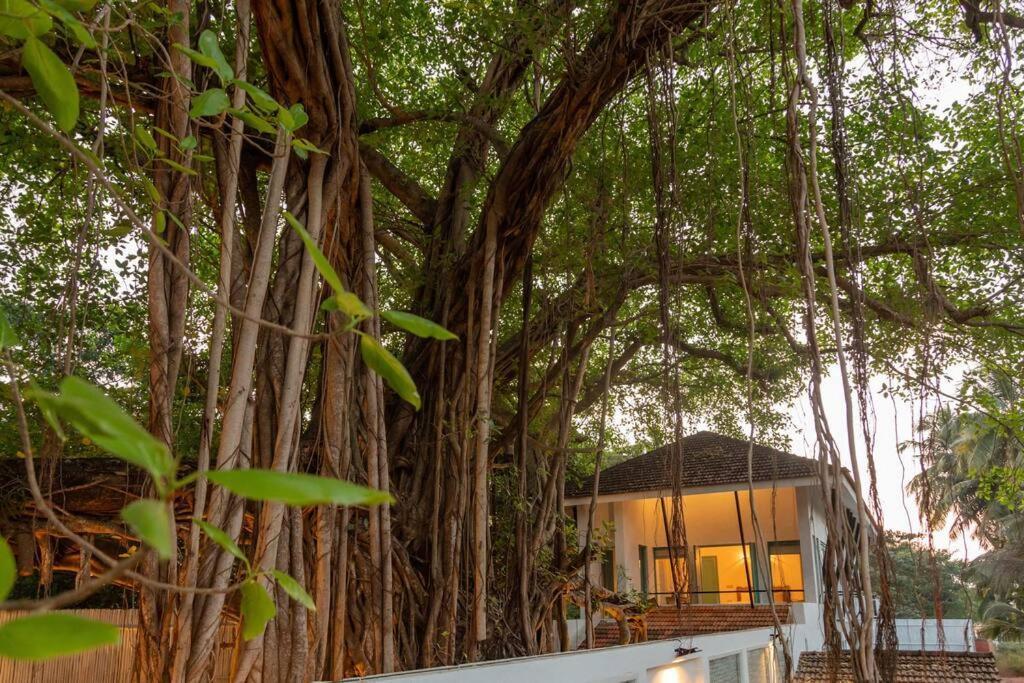 White Banyan Beach Villa, Candolim By The Acacia Villas Exterior foto